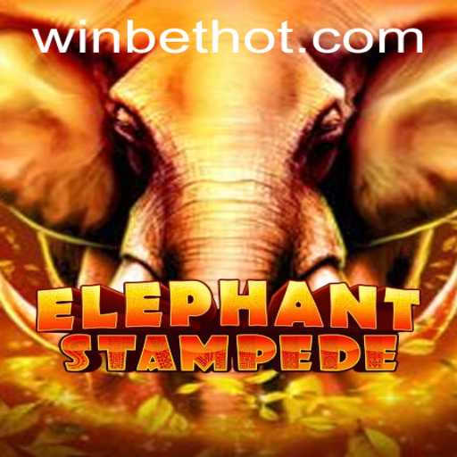 ElephantStampede: Unleashing the Excitement of Winbet